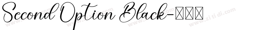 Second Option Black字体转换